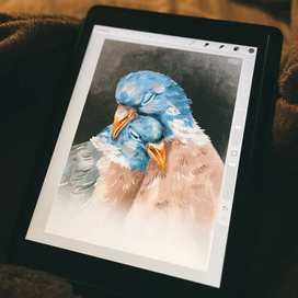 Голуби Любовь Открытка Диджитал