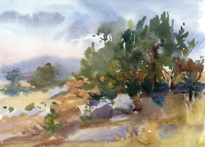 Сосны. Коктебель