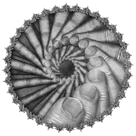 Холод. Метель