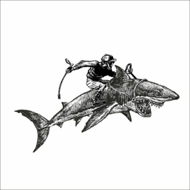 Талисман для компаниии програмного обеспечения