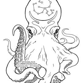 Осьминог эскиз тату. Эскиз татуировки. Космос. Octopus sketch, sur, лайнарт, lineart, tattoo flash, illustration.