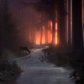 Вечерний Лес