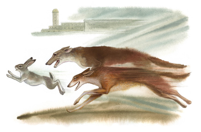 Джек - боевой конёк