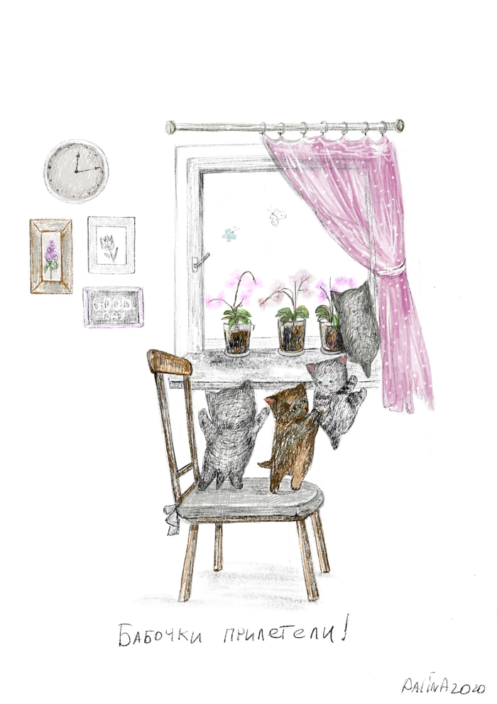 Бабочки прилетели