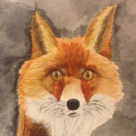 Удивленный лис