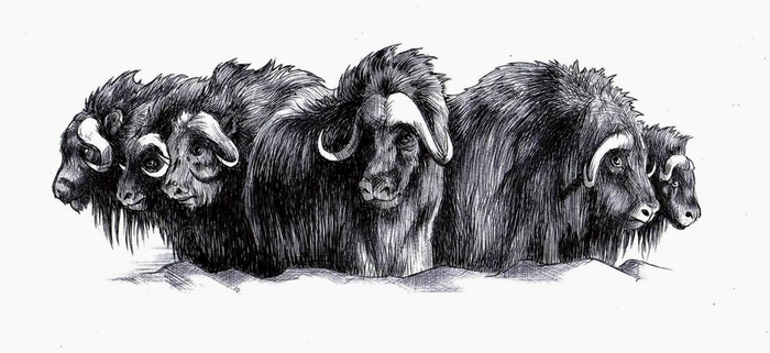 Молниеносный. 4-0