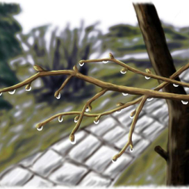 Апрель. После дождя