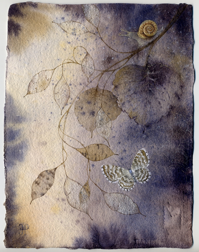 дикая лунария или о чем грустят улитки...