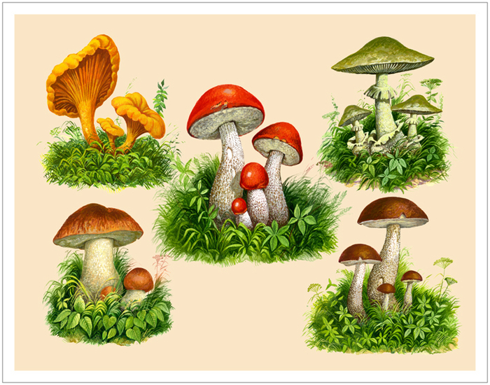 Для издательства "Детство ПРЕСС"