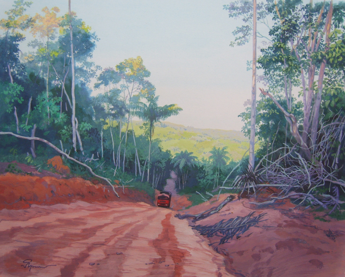 Дорогами Амазонаса. В ожидании попутки (вариант №2)