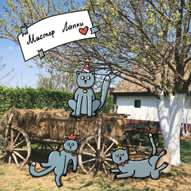 Мистер Лапки