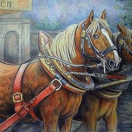 Городские лошади