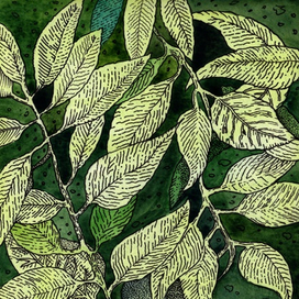 Ботанические фантазии