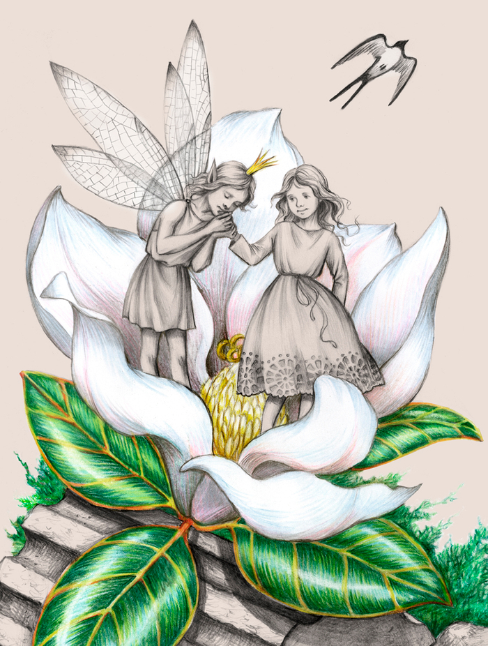 Правильный жених