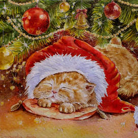 " Волшебный сон "