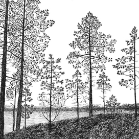 Утро в Финляндии