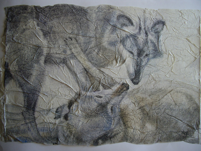 Серия"ZOO" Подчинение.78х53