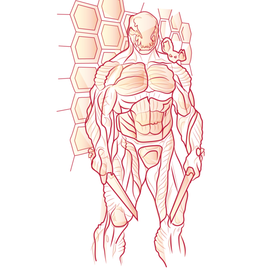 Разработка персонажа и Отрисовка в векторе 