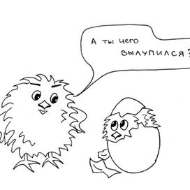 Случайные совы: Вылупился