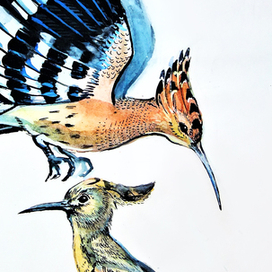 Удот. Зарисовка #5