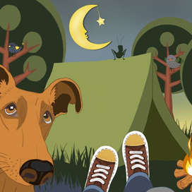 Ночные посиделки у костра