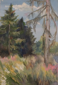 Пленэр - пейзажик