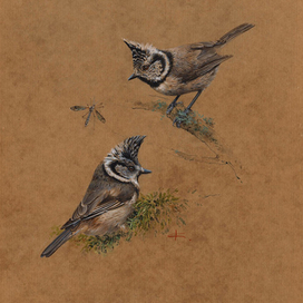 Гренадёрки