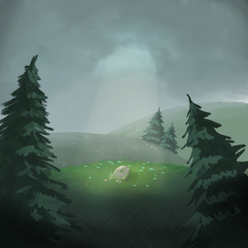 Окружение 2