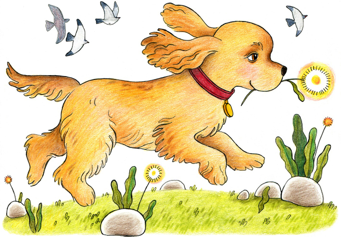 Чем-Чем бежит с подарком