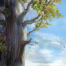 день и ночь