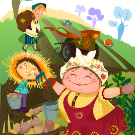 собираем урожай картошки