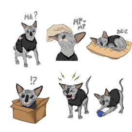 Stickers cat skif
