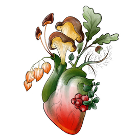 Сердце леса