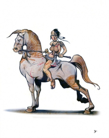 амазонка на амазоне