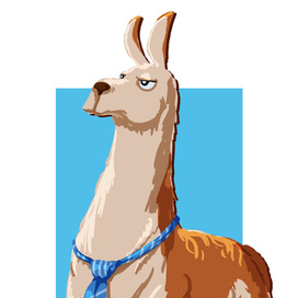 Llama