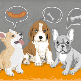 Щенки мечтатели