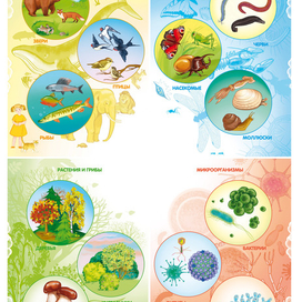 живая природа