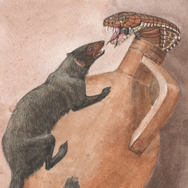 "Рикки-Тики-Тави"