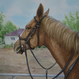 Красавица Барбина 