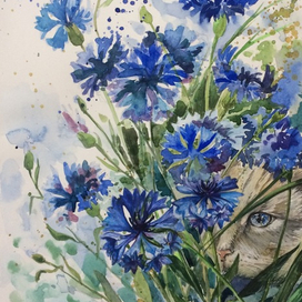 Василий и васильки