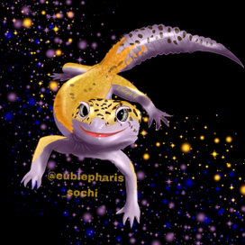 Эублефар Амурчик