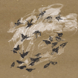 Иллюстрации к книге "Плетро и я"