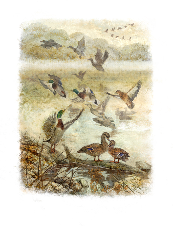 Серая Шейка. Прощание