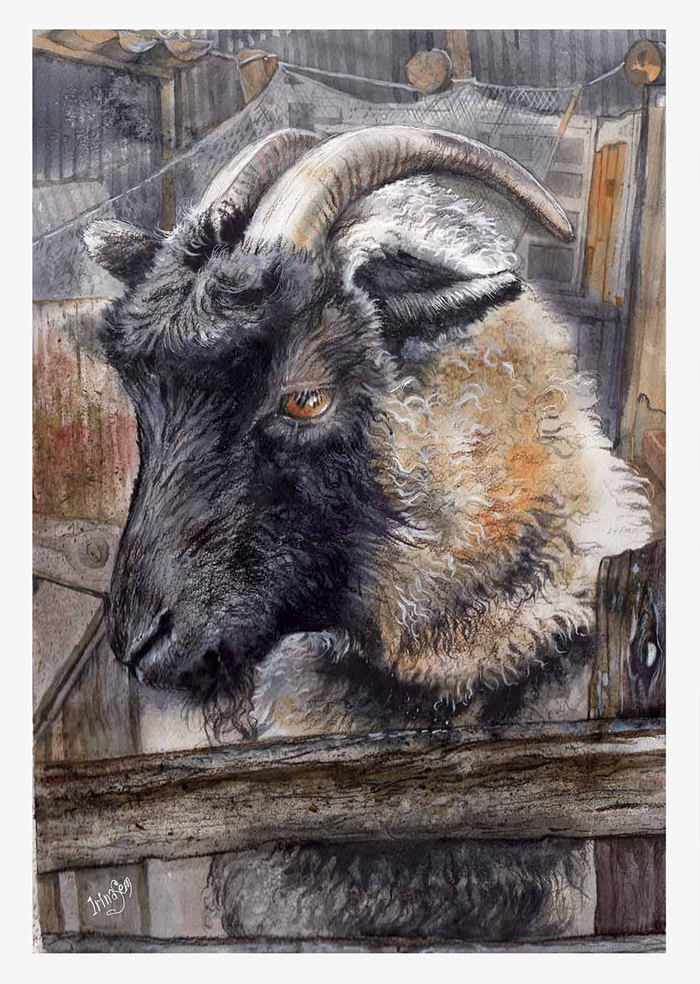 "Во дворе". Домашние животные1