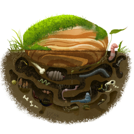 Под лежачим камнем (без текста)