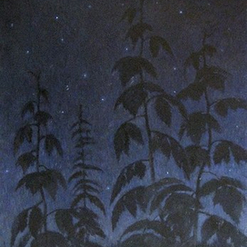 Ночной шорох