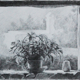 Вид из окна