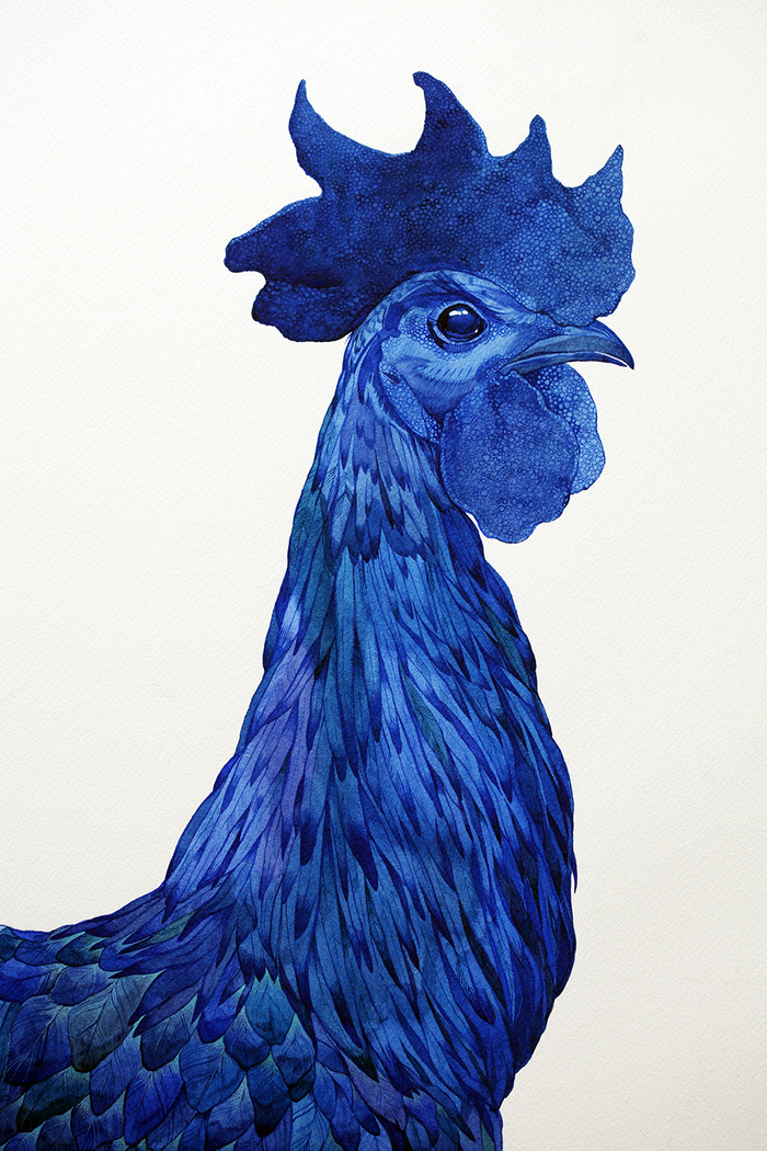 Синий петух (фрагмент)