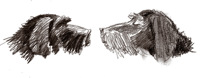 книга о дратхаарах