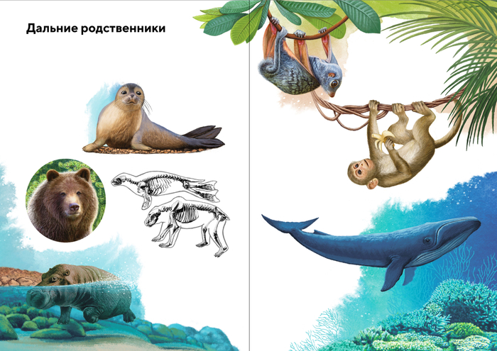 Для книги "Удивительные животные"